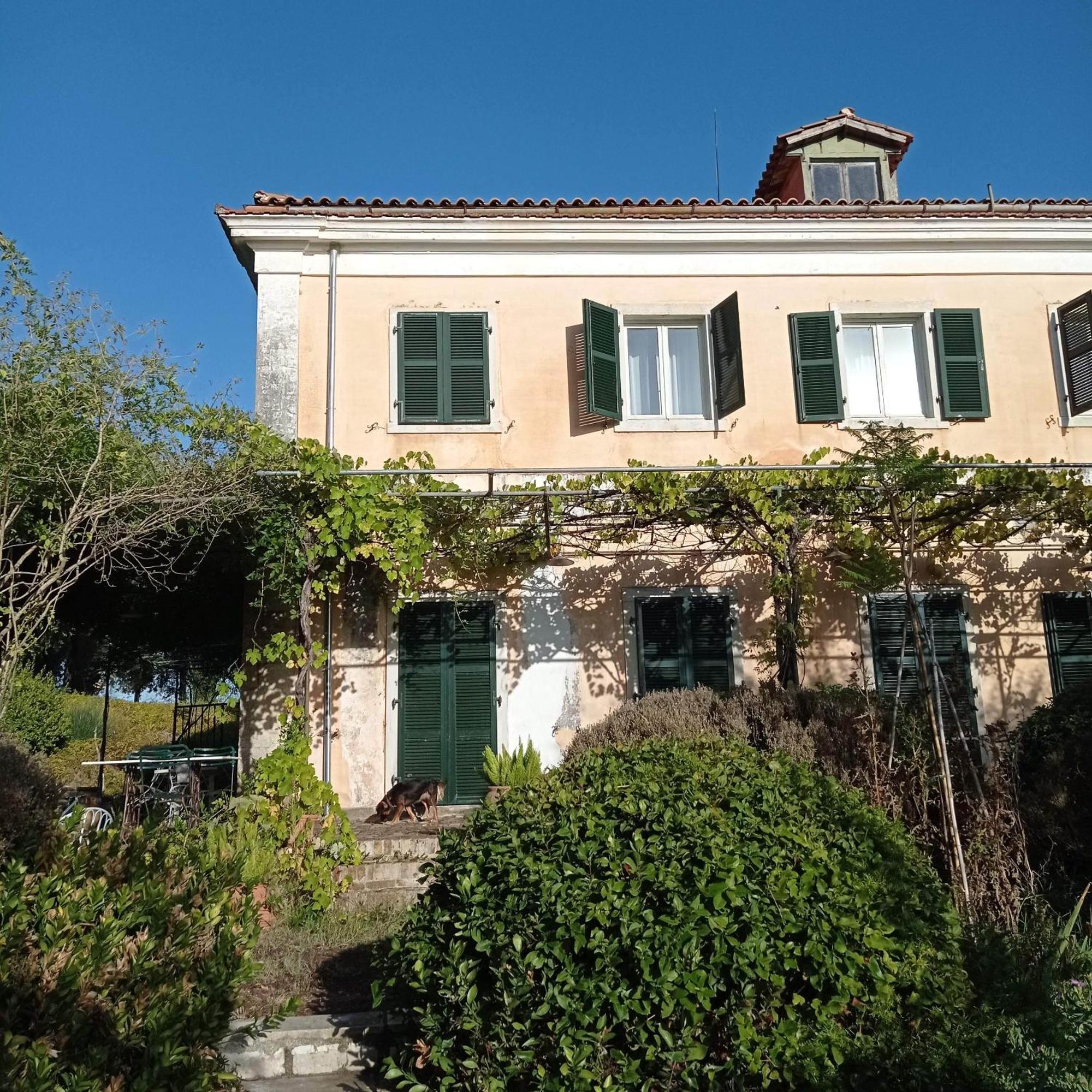 Villa Kefalomandouko Alepou Exterior foto